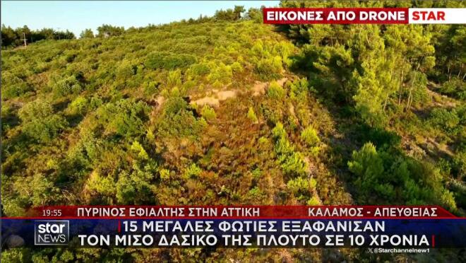 kalamos-fotia