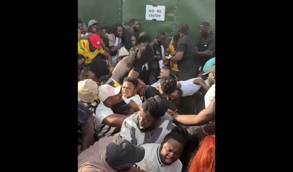 Chaos at London Festival: Dozens Trampled at Entrance, Multiple Hospitalized