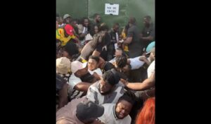 Chaos at London Festival: Dozens Trampled at Entrance, Multiple Hospitalized