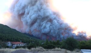 Androulakis visits wildfire-hit Boeotia to meet residents and farmers