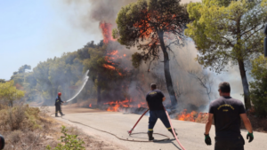 Seasonal Firefighters Protest: “No one is expendable on the front line”