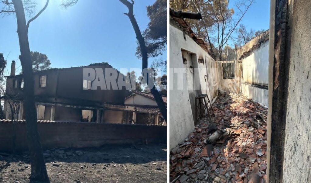 Porto Germeno in ashes: A journey through the wildfire devastation (Images & Video)