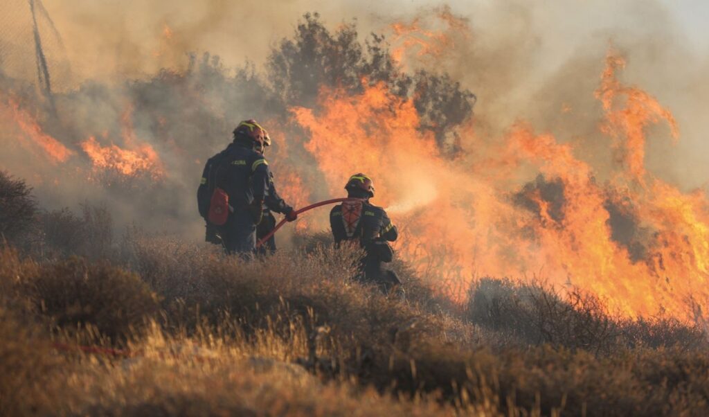 Greece Wildfires: Power Lines Blamed for 78% of Burned Land This Summer