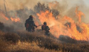 Greece Wildfires: Power Lines Blamed for 78% of Burned Land This Summer