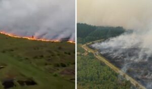 Historic Belgium wildfire: 7,400 acres burned as fire spreads toward Germany