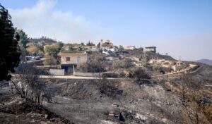 Chios Wildfire Relief: €509,643 paid out to 59 businesses affected by 2025 fires