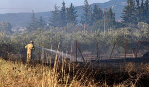 Greece halts foreclosures for wildfire victims for 12 months