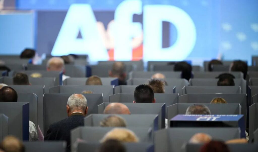 AfD Surges to 29% in New Poll, Widening Lead Over Merz’s Conservatives