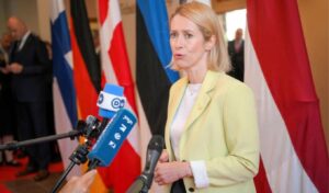 12 EU nations urge stronger Arctic strategy amid growing threats