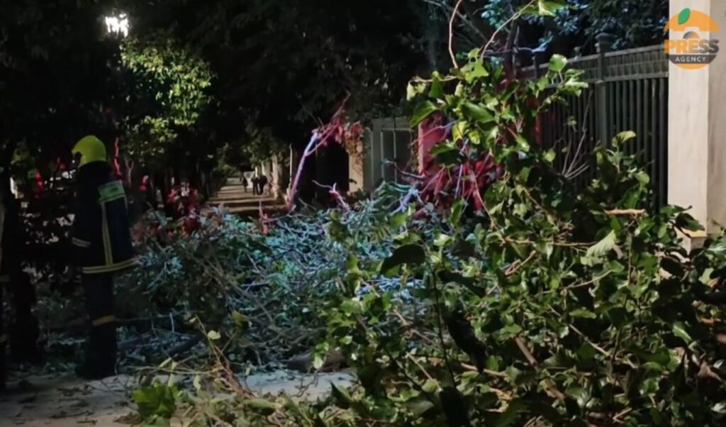 Large tree falls near Greek Prime Minister’s office on Irodou Attikou