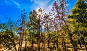 Greece Weather Forecast: Temperatures Soar to 28°C Before Rain Returns