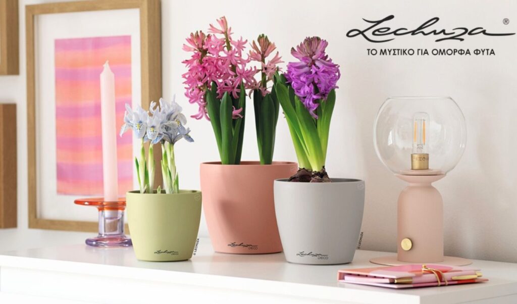 LECHUZA: When the planter becomes part of your interior design